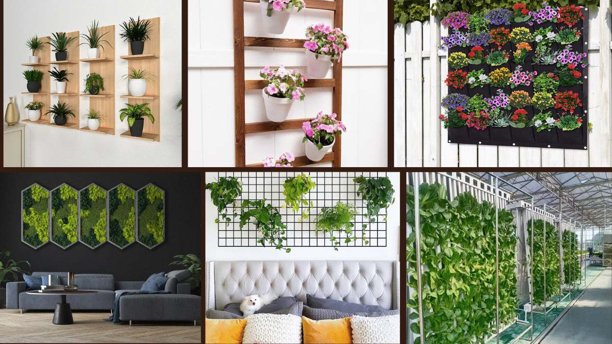 7 Indoor Plant Wall Ideas for Vertical Green Spaces
