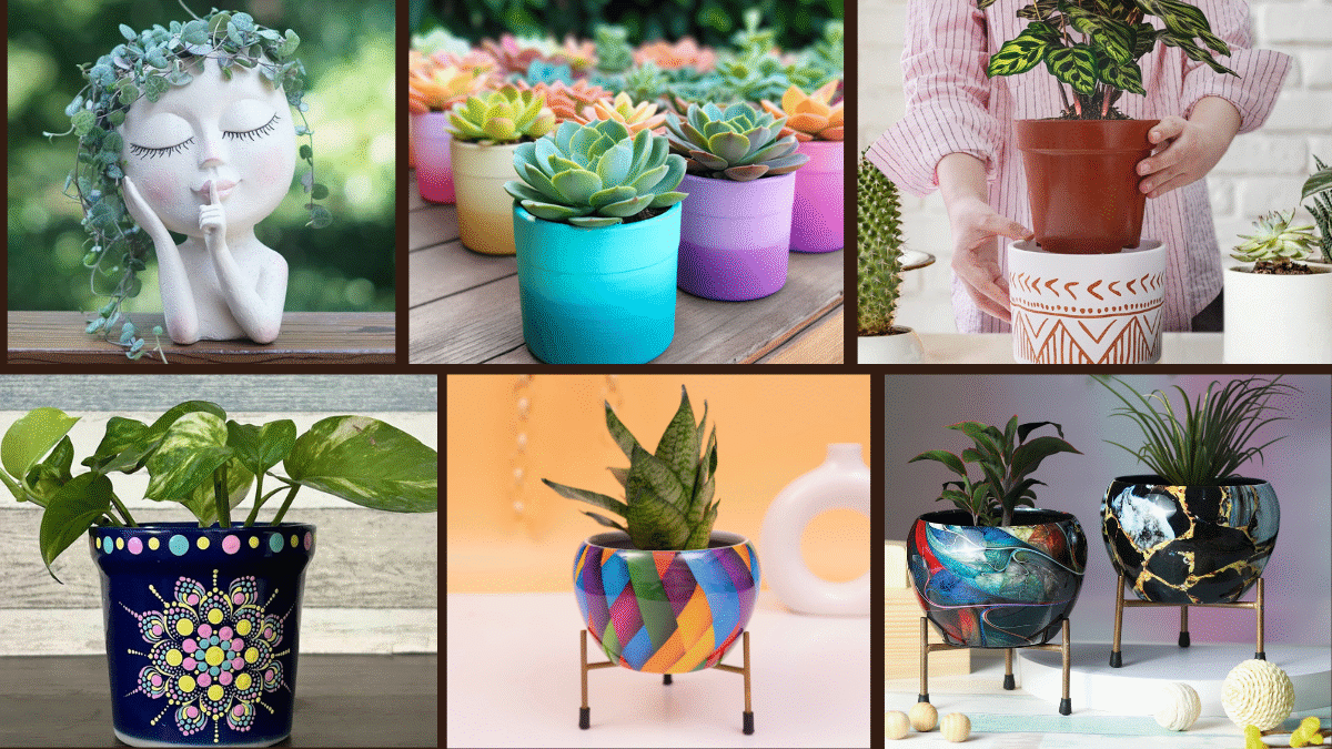 8 Fun Plant Pot Painting Ideas for DIY Lovers