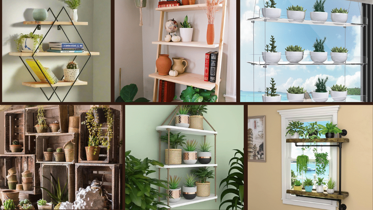 7 Plant Shelf Ideas for Stylish Indoor Displays