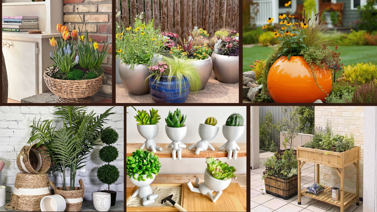 8 Porch Planter Ideas for Seasonal Charm