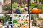8 Porch Planter Ideas for Seasonal Charm