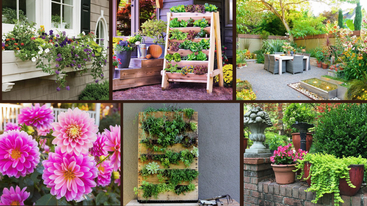 7 Window Planter Box Ideas to Brighten Up Your Windows