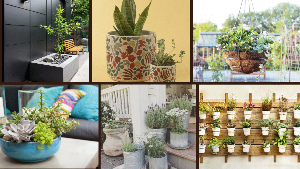 7 Container Planting Ideas for Every Garden Style