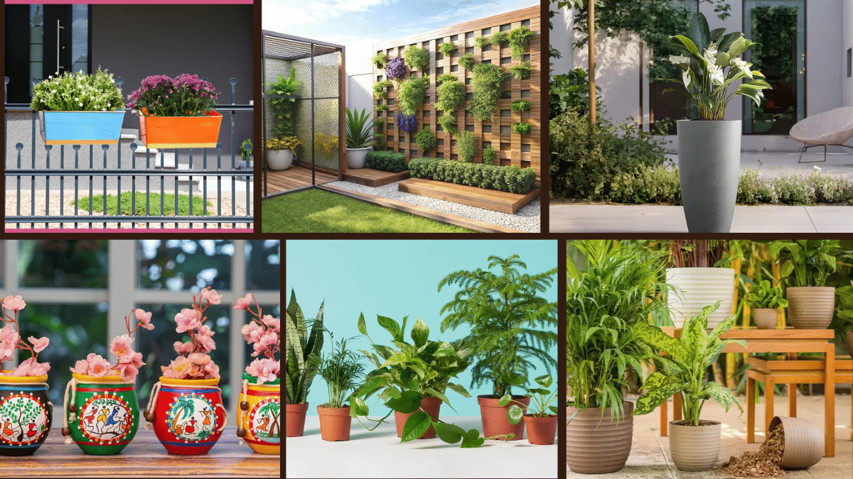 8 Deck Planter Ideas for a Lush Outdoor Space