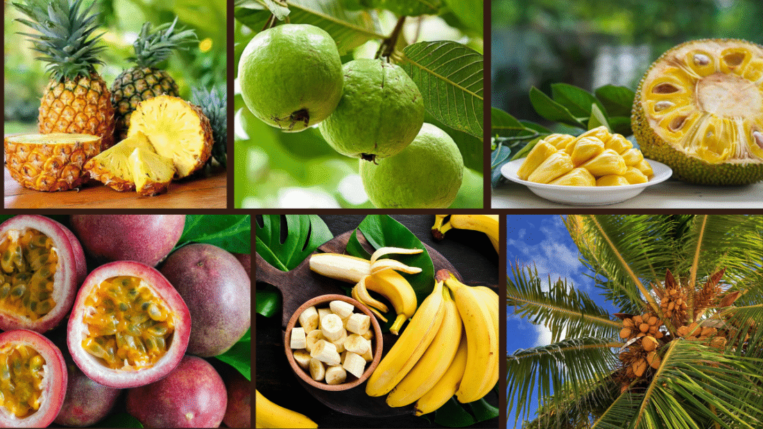 10 Fruits That Grow Quickly in Tropical Climates