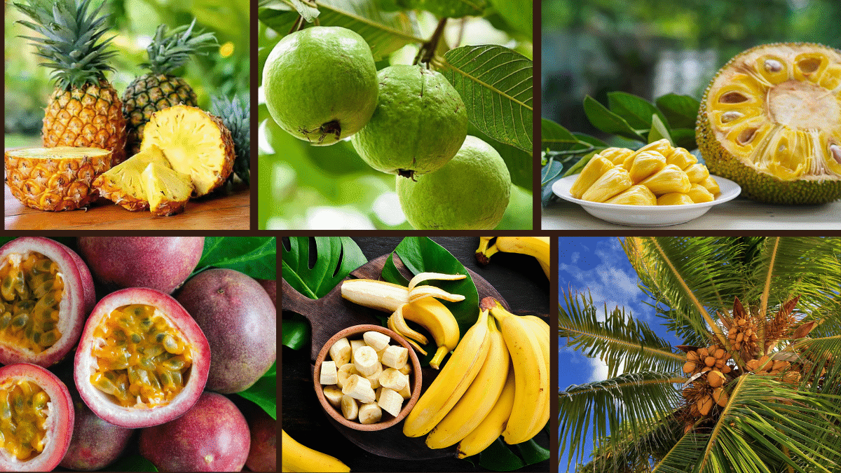 10 Fruits That Grow Quickly in Tropical Climates