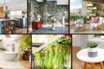 7 Fresh Interior Design Ideas Using Houseplants