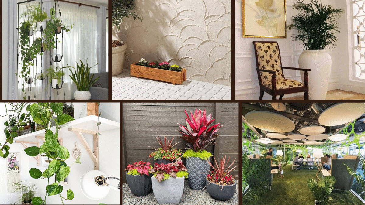 6 Houseplant Decor Trends You Should Try