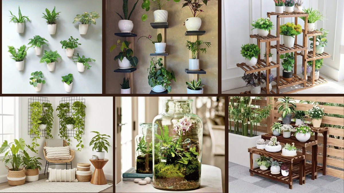 6 Small-Space Plant Design Hacks