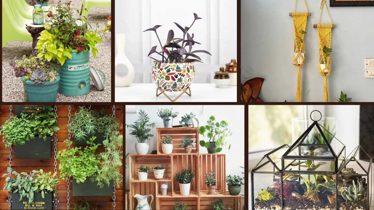 6 Creative Indoor Planter Ideas