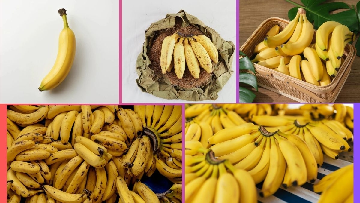 Which Country Is the Largest Banana Producer Globally?