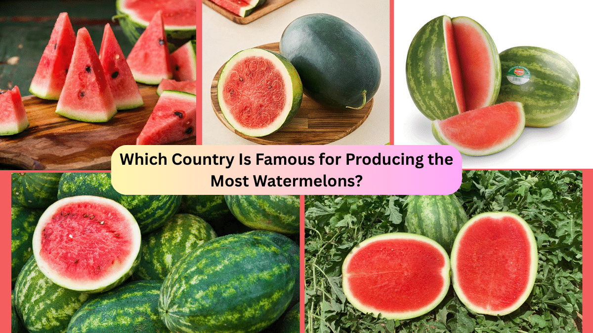 Which Country Is Famous for Producing the Most Watermelons?