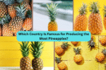 Which Country Is Famous for Producing the Most Pineapples?