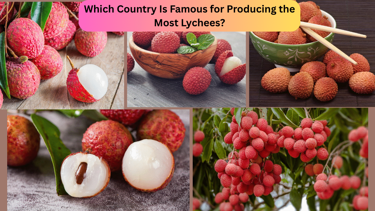 Which Country Is Famous for Producing the Most Lychees?