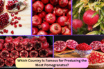 Which Country Is Famous for Producing the Most Pomegranates?
