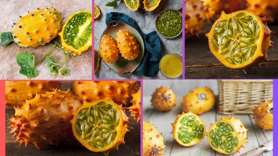 Which Country Is the Largest Horned Melon (Kiwano) Producer Globally?