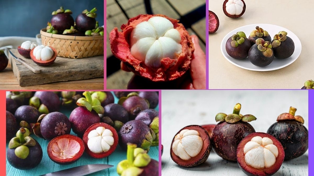 Which Country Is the Largest Mangosteen Producer Globally?