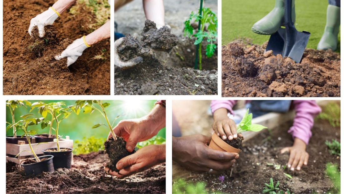 How Can You Improve Clay Soil for Gardening?