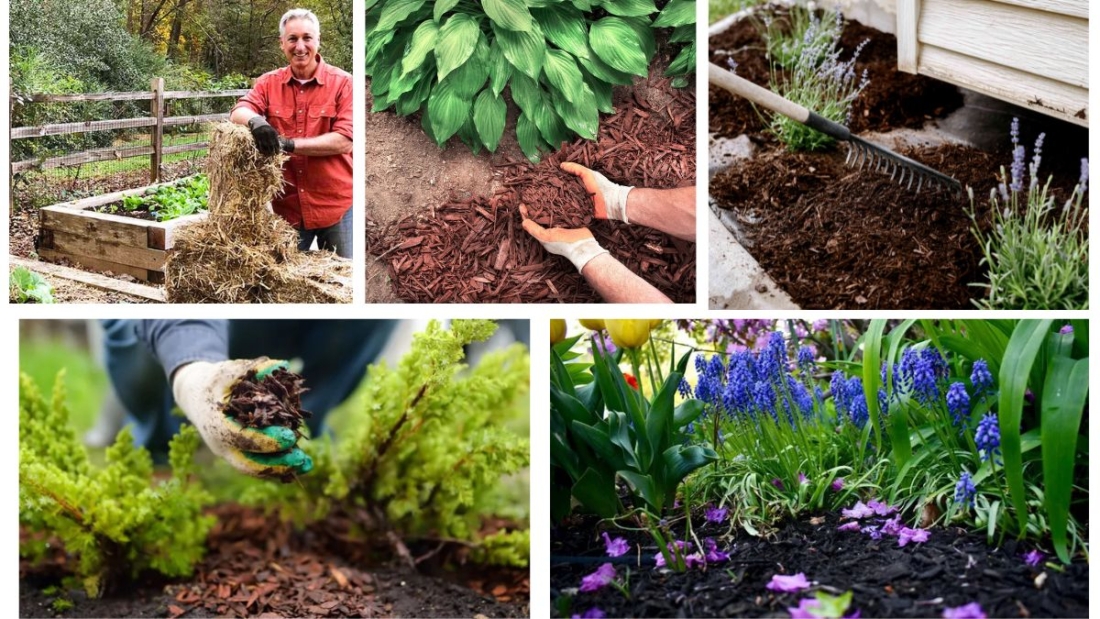 Why Is Mulching Important in Summer?