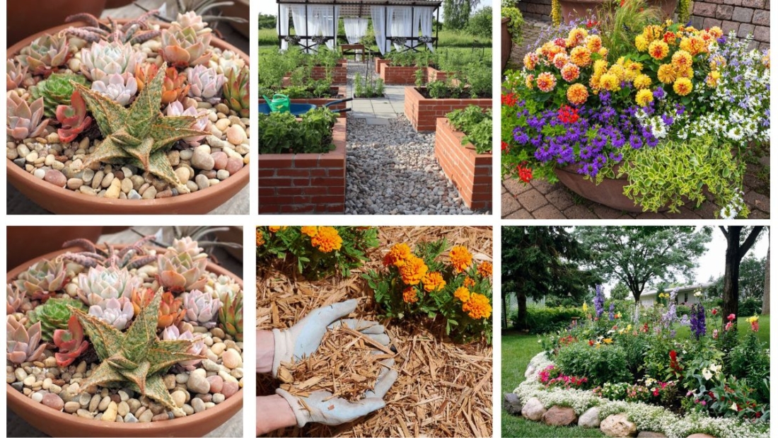 9 Unique Around-Tree Flower Bed Ideas to Transform Your Garden Design