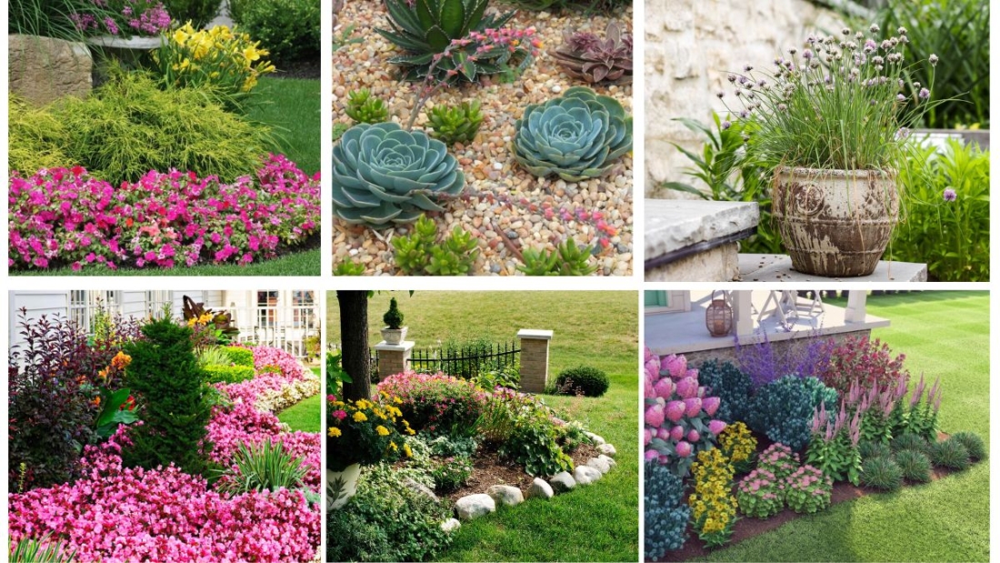 9 Gorgeous Wavy Flower Bed Ideas for a More Dynamic Backyard Look