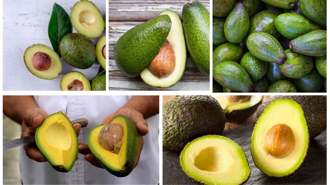 Which Country Is Famous for Producing the Most Avocados?