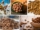 Which Country is the Largest Indian Almond Producer in the World?