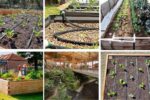 7 Clever Flower Bed Designs That Work with Underground Plumbing