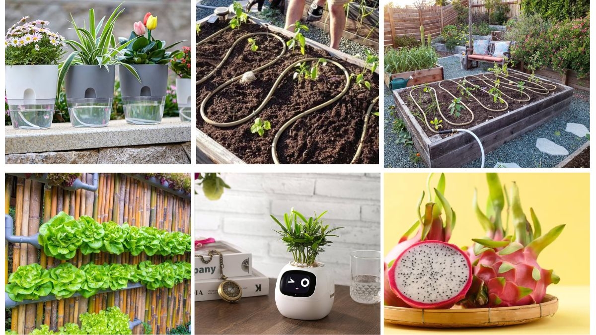 7 Low-Maintenance Flower Beds with Integrated Plumbing