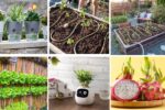7 Low-Maintenance Flower Beds with Integrated Plumbing
