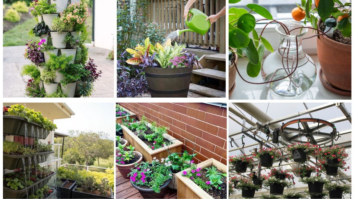 6 Beautiful Container Garden Ideas with Self-Watering Plumbing