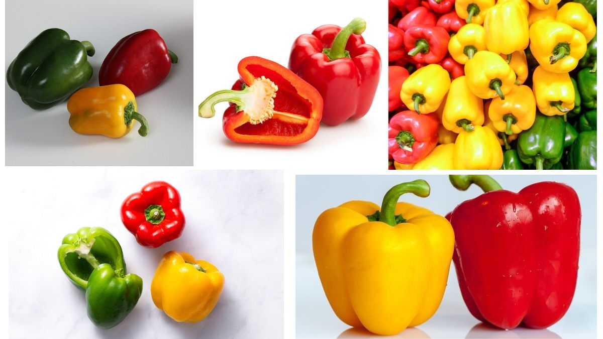 Which Country Is the Largest Pepper Producer in the World?