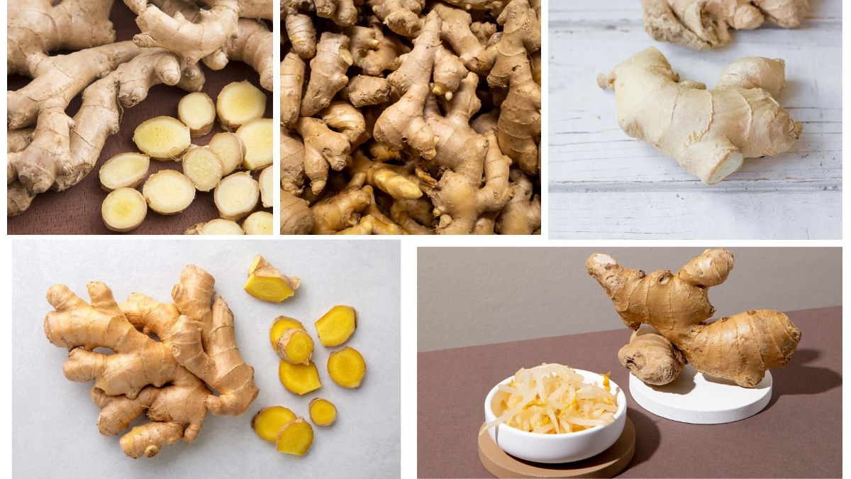 Which Country Is the Largest Ginger Producer in the World?