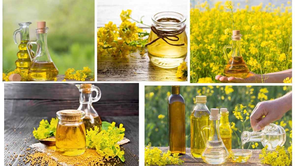 Which Country Is the Largest Vegetable Oil Producer in the World?