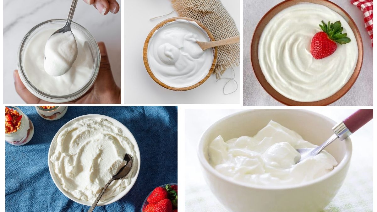 Which Country Is the Largest Yogurt Producer in the World?
