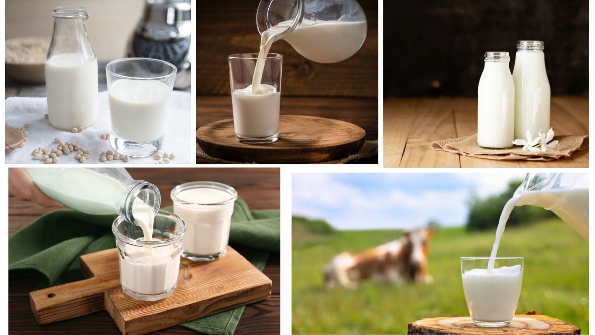 Which Country Is the Largest Milk Powder Producer in the World?
