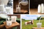 Which Country Is the Largest Milk Powder Producer in the World?