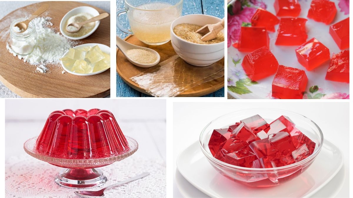 Which Country Is the Largest Gelatin Producer in the World?