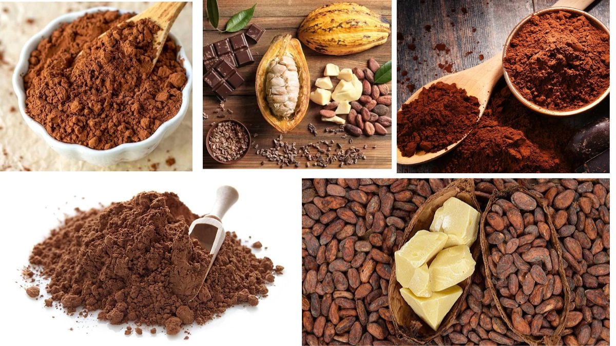 Which Country Is the Largest Cocoa Powder Producer in the World?