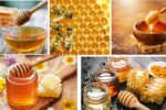 Which Country Is the Largest Honey Producer in the World?