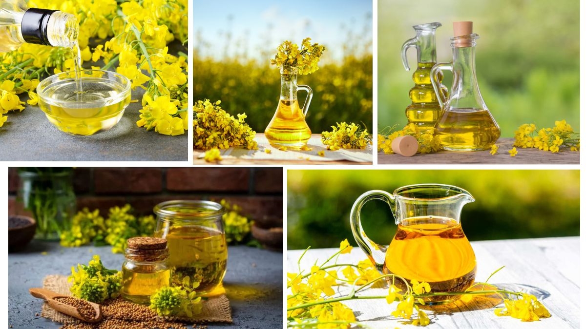 Which Country Is the Largest Canola Oil Producer in the World?