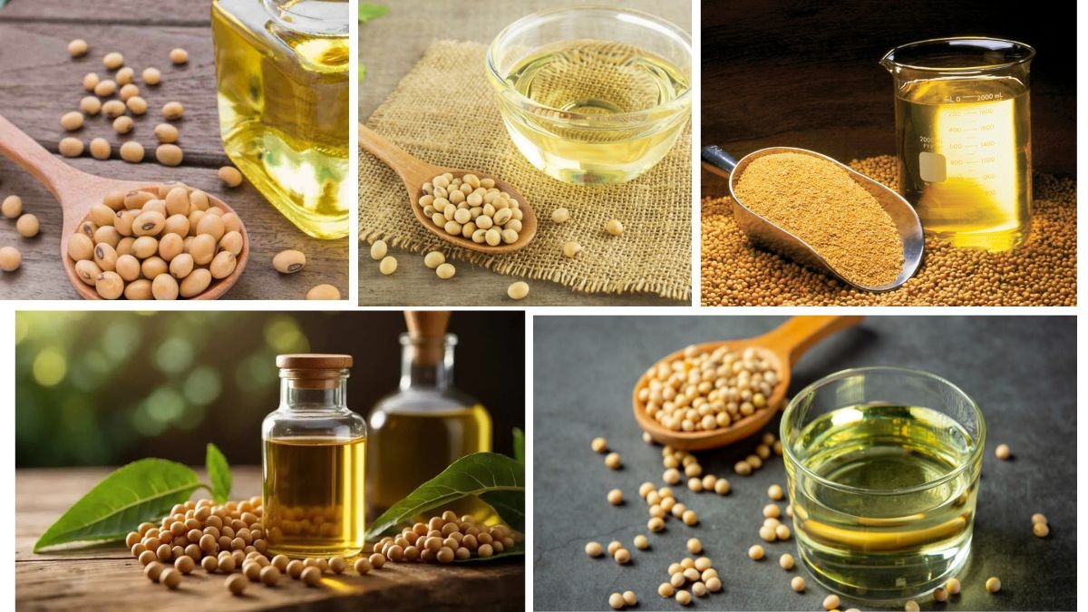 Which Country Is the Largest Soya Oil Producer in the World?