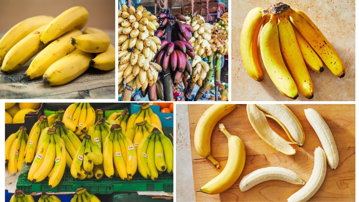 Countries That Produce the Most Bananas Each Year