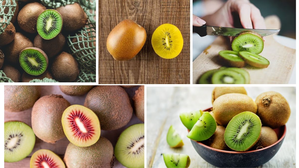 Surprising Facts About Kiwi Farming Worldwide