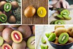 Surprising Facts About Kiwi Farming Worldwide