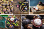 Which Country Has the Most Mangosteen Orchards?
