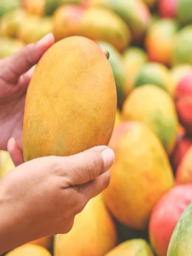 Discover the Top Mango-Producing Country in the World