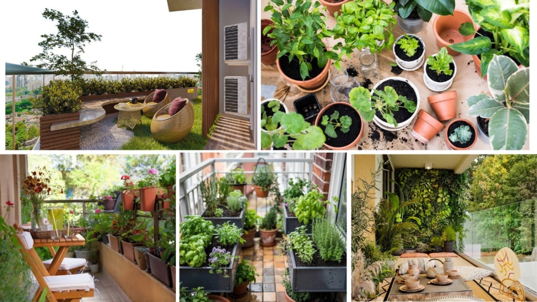 Evening Herb Garden Ideas for Apartments