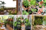 Evening Herb Garden Ideas for Apartments