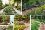 Sensory Plants for Calming Outdoor Corners